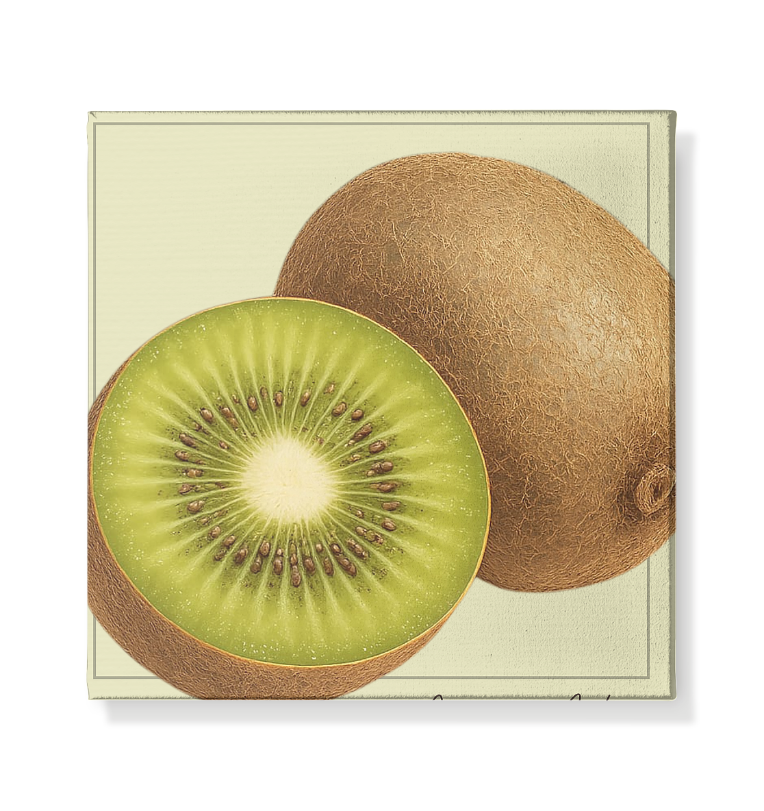 Fructus Botanica – Kiwi - Leinwand 20x20cm