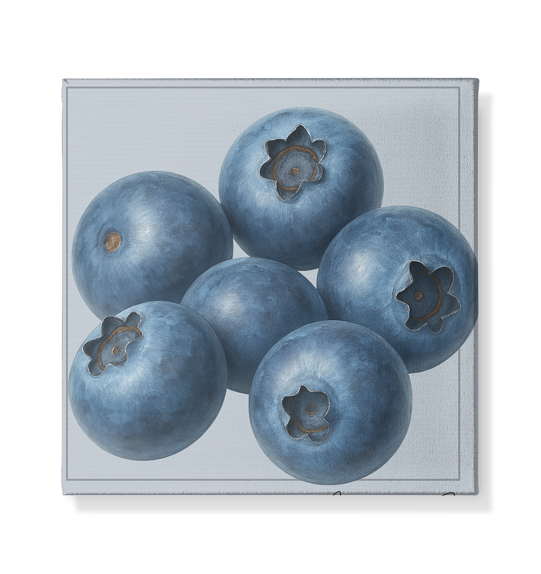 Fructus Botanica – Blaubeere (Noctis Sapor) - Leinwand 20x20cm