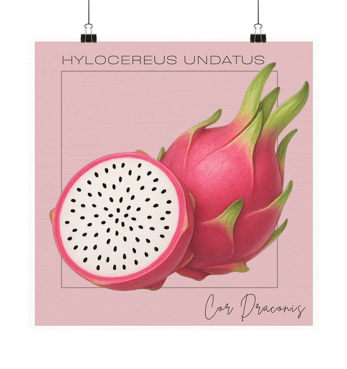 Fructus Botanica – Drachenfrucht (Aurum Internum) - Poster 20x20