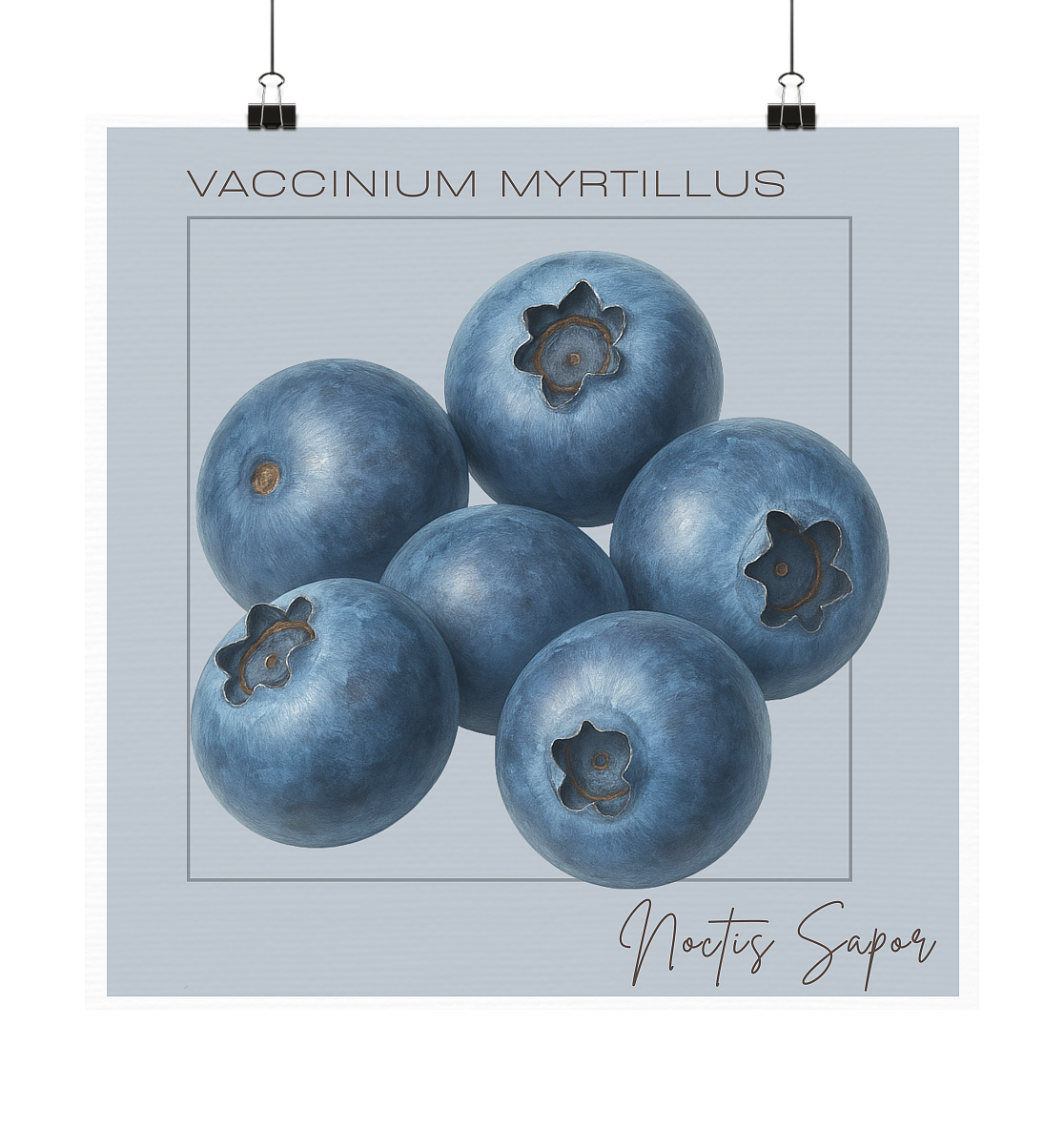 Fructus Botanica – Blaubeere (Noctis Sapor) - Poster 20x20