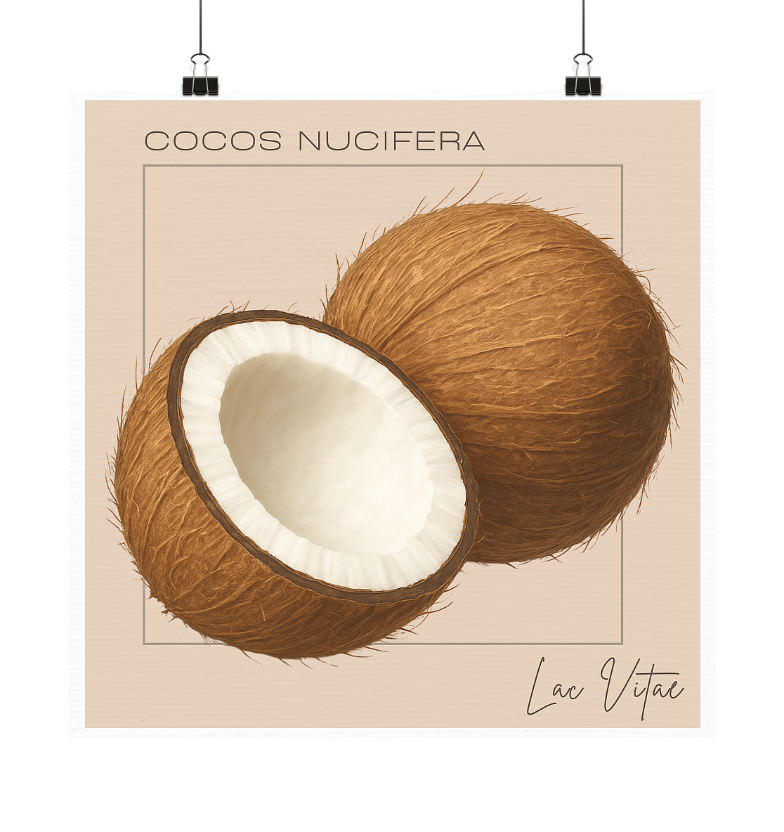 Fructus Botanica – Kokosnuss (Lac Vitae) - Poster 20x20