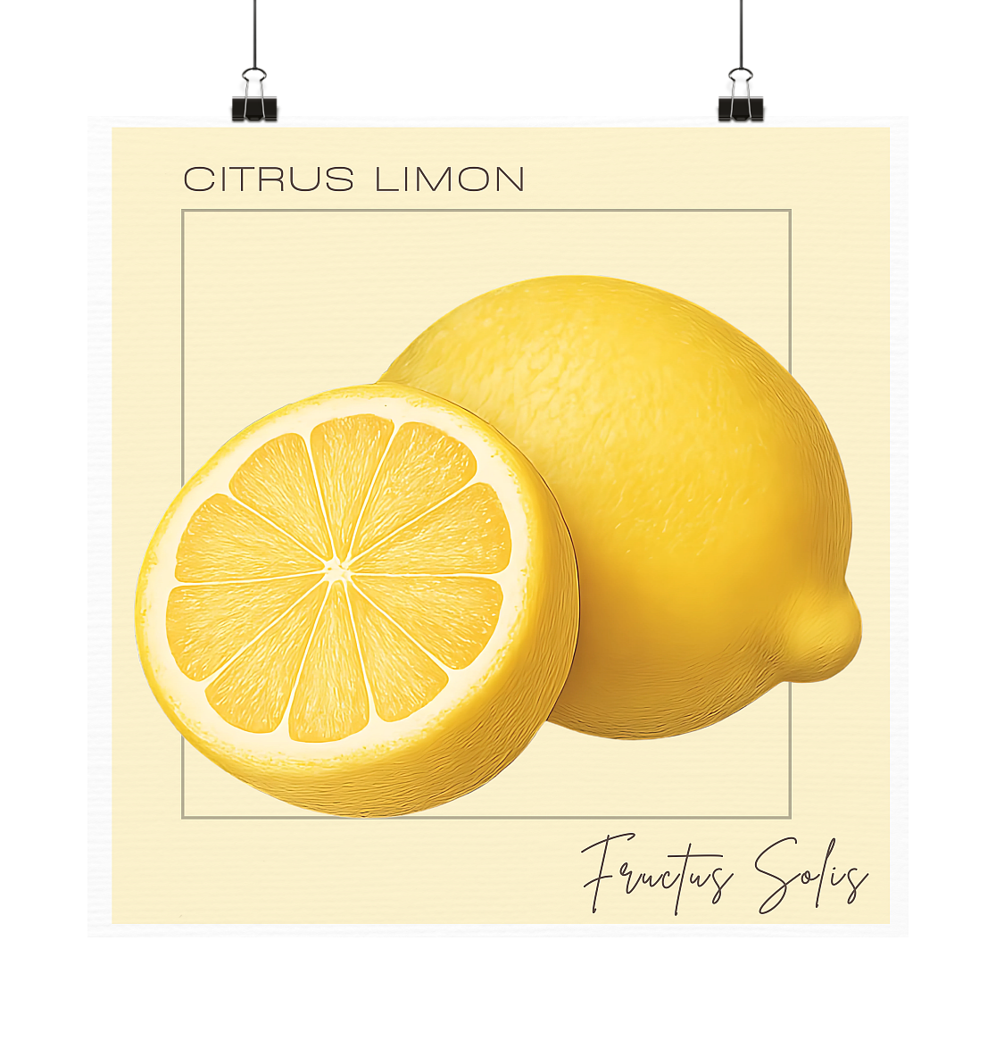 Fructus Botanica – Zitrone - Poster 20x20