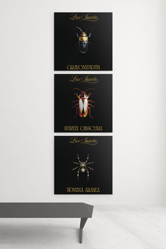 Lux Insecta – Bundle 02: Schattenordnung