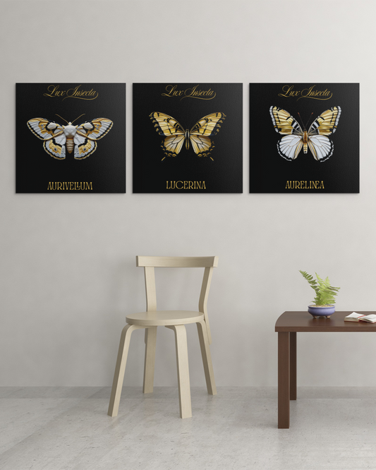 Lux Insecta – Bundle 01: Goldflügler