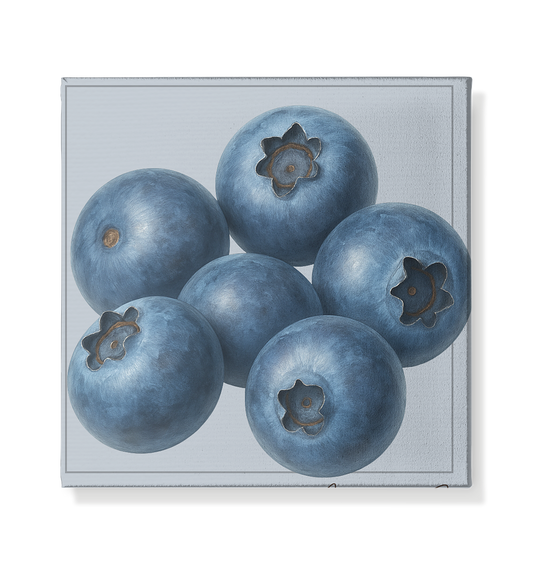 Fructus Botanica – Blaubeere (Noctis Sapor) - Leinwand 20x20cm