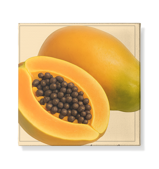 Fructus Botanica – Papaya (Aurum Internum) - Leinwand 20x20cm