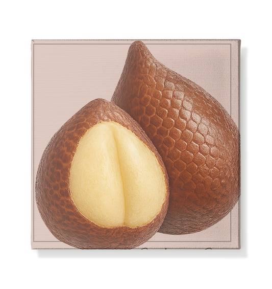 Fructus Botanica – Schlangenfrucht (Scalatum Secretum) - Leinwand 20x20cm
