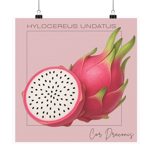 Fructus Botanica – Drachenfrucht (Aurum Internum) - Poster 20x20