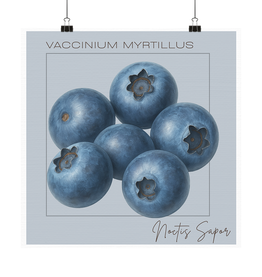 Fructus Botanica – Blaubeere (Noctis Sapor) - Poster 20x20