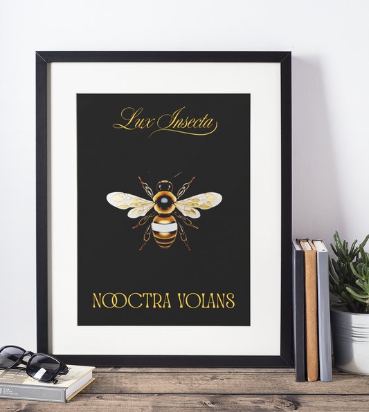 Lux Insecta – Nooctra Volans