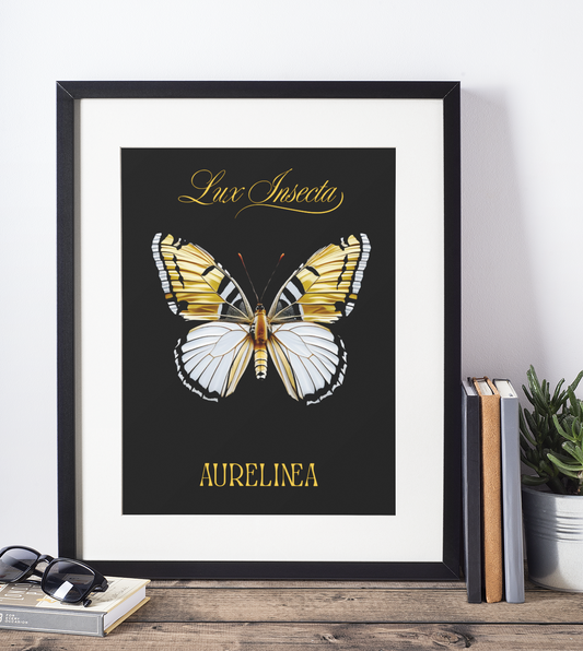 Lux Insecta – Aurelinea