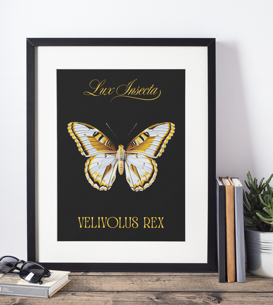 Lux Insecta –Velivolus Rex