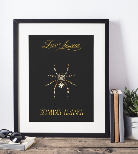 Lux Insecta – Domina Aranea