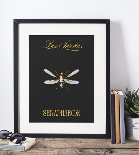 Lux Insecta – Seraphaeon