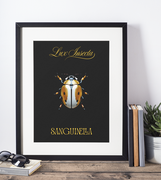 Lux Insecta – Sanguinella